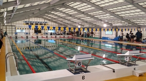 20160424192200427.jpg