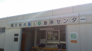 20170423195320432.jpg
