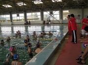 146.jpg