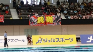 20150727230909817.jpg