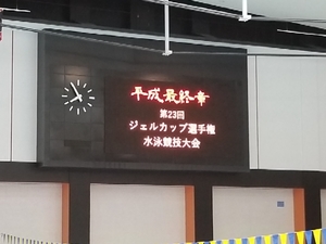 20190227183203919.jpg
